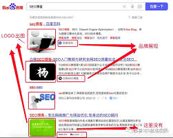 蜘蛛池的原理图解视频教程大全集最新